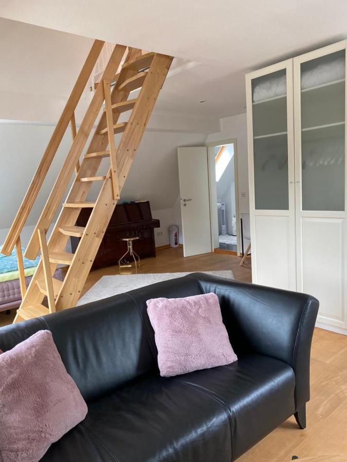 Ferienwohnung Moseltraum 코헴 외부 사진